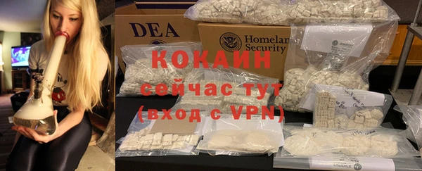 прущие грибы Балабаново